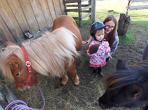 Ponys dürfen jederzeit geputzt werden